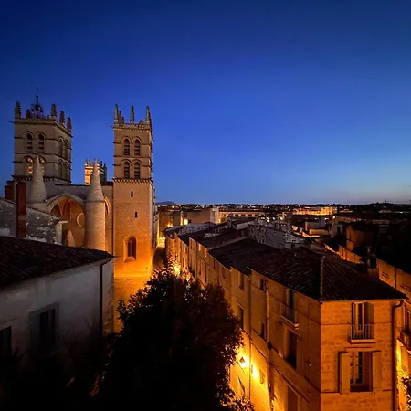 La Terrasse, Vue Sur Les Toits De Apartman